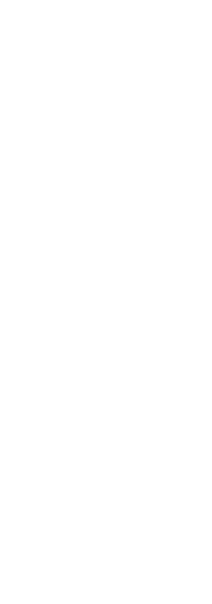 コースで魅せる牛光の美味