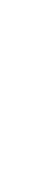 コース料理にプラス一品でも