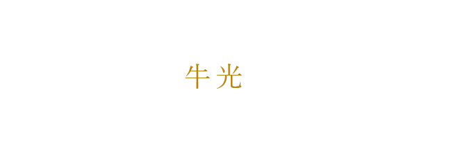 連れていくと喜ばれる。