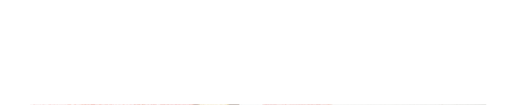 国産黒毛和牛A5ランク